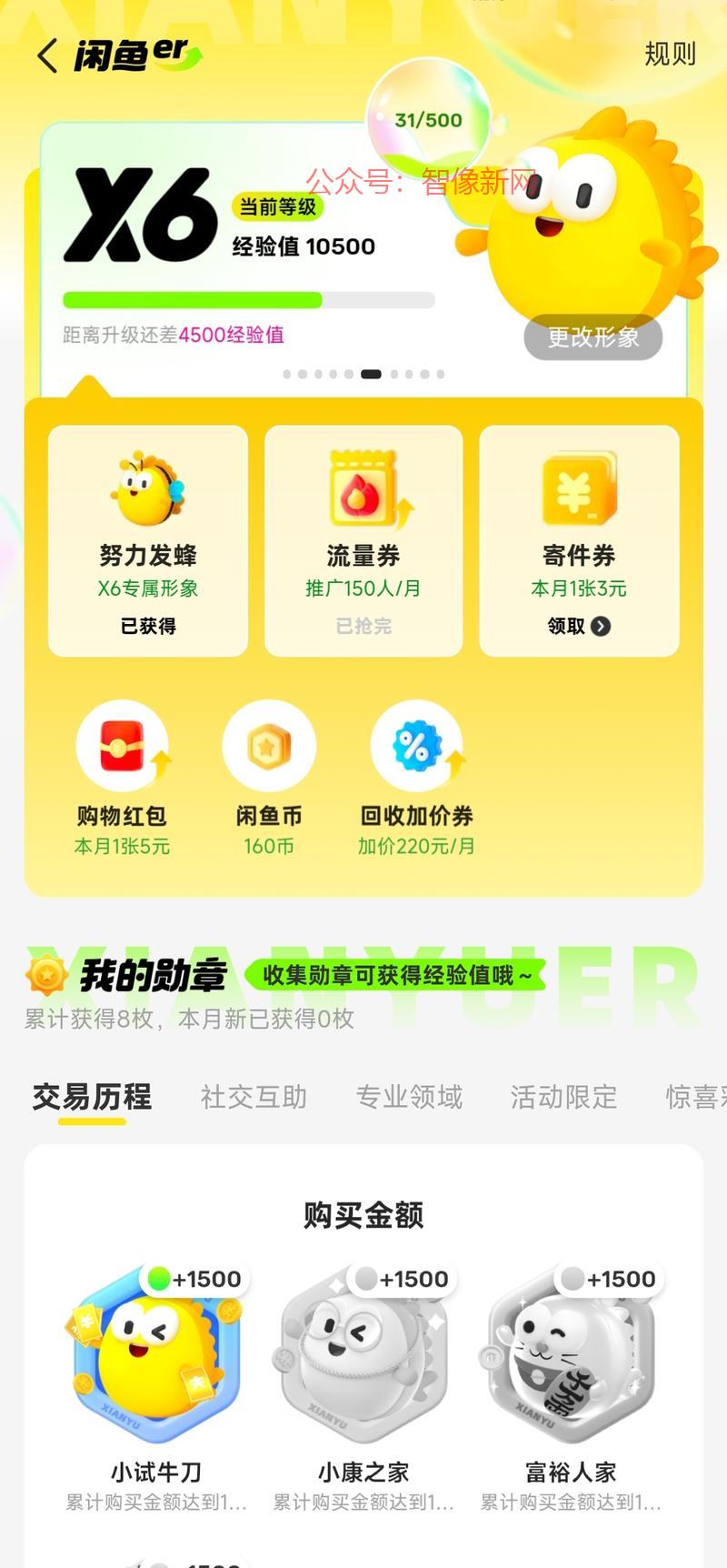 闲鱼新增了一个会员等级功…#情报-搞钱情报论坛-网创交流-智像新网